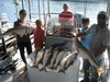 (07/12/2017) - Nice Striped Bass
